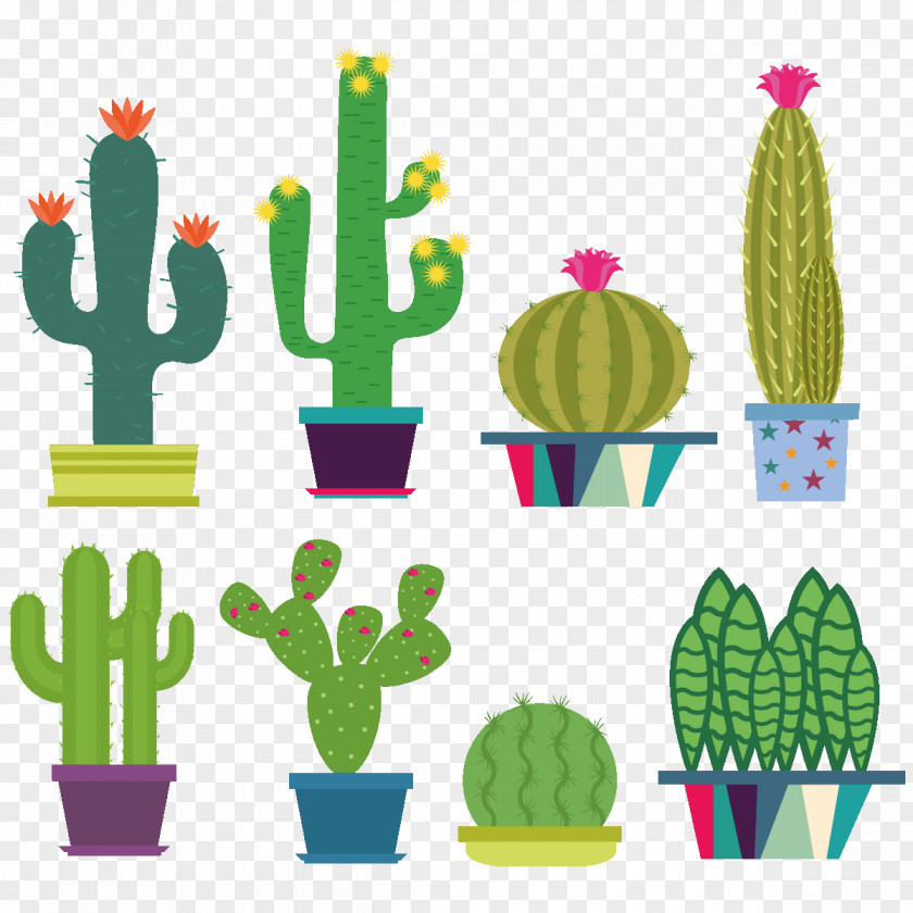 Cactus In Pot Cactaceae PNG