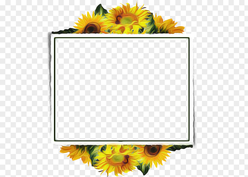 Picture Frame Cut Flowers Background PNG