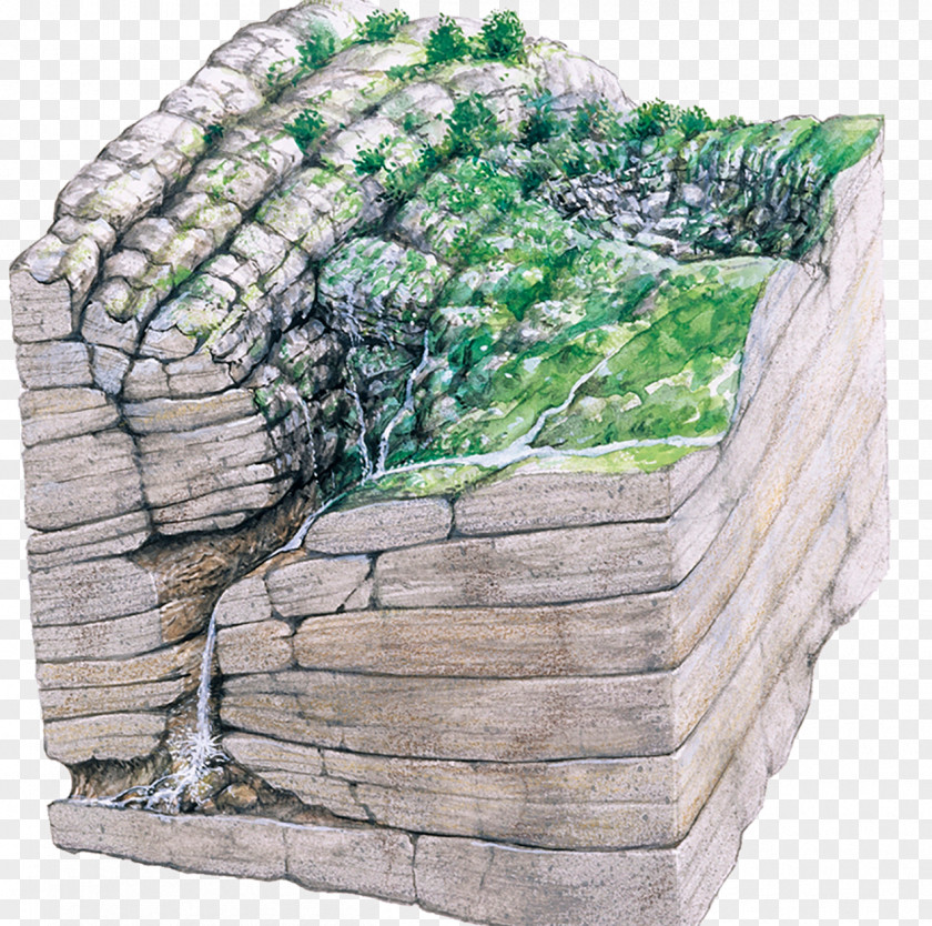 Rock Forest Gouffre Berger Cave Limestone Geology Illustration PNG