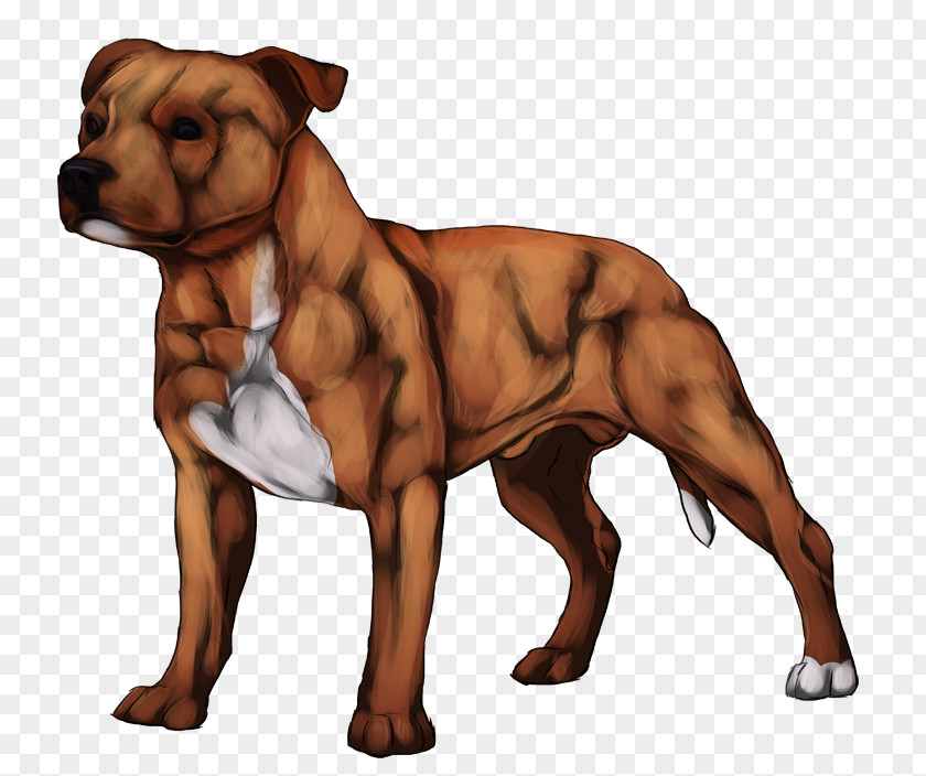 Staffordshire Bull Terrier Dog Breed American Pit Snout PNG