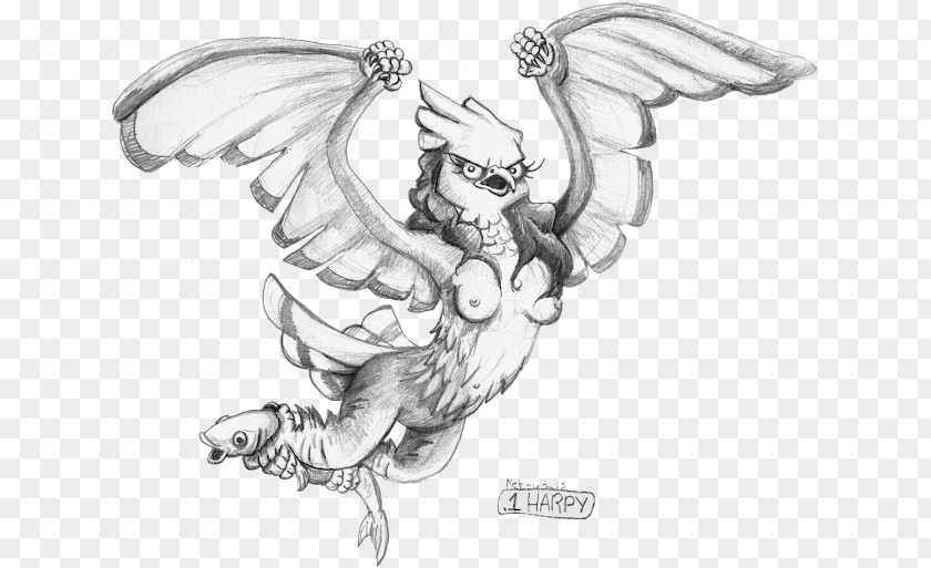 Harpy Eagle Legendary Creature Line Art Cartoon Sketch PNG