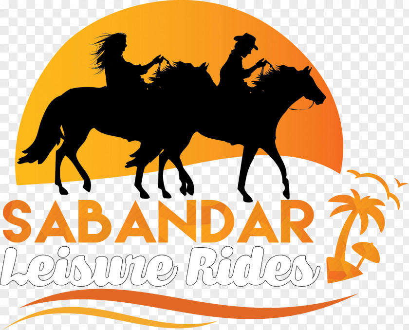 Horseback Riding Cowboy Town Sabandar Tuaran Mustang Equestrian Pack Animal PNG