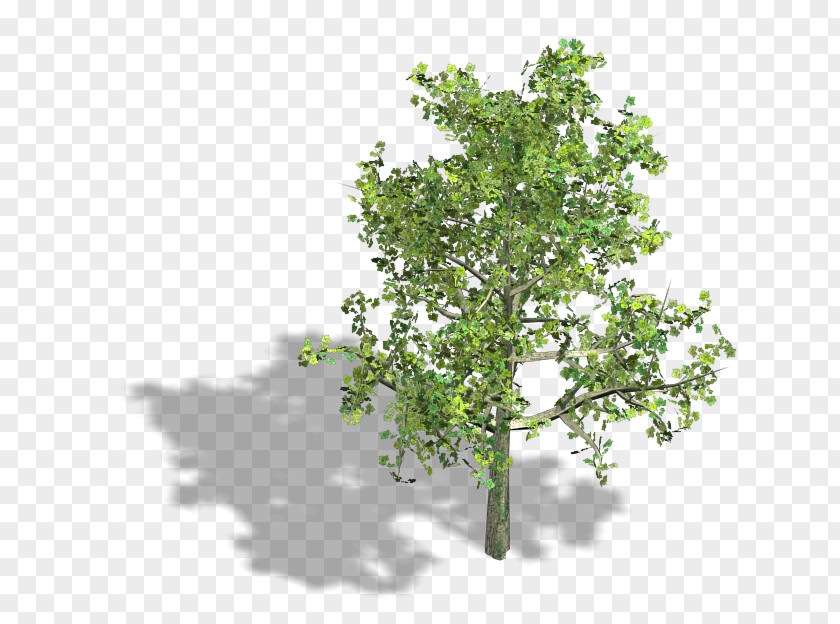 Tree Branch Isometric Projection Axonometric Graphics In Video Games And Pixel Art PNG