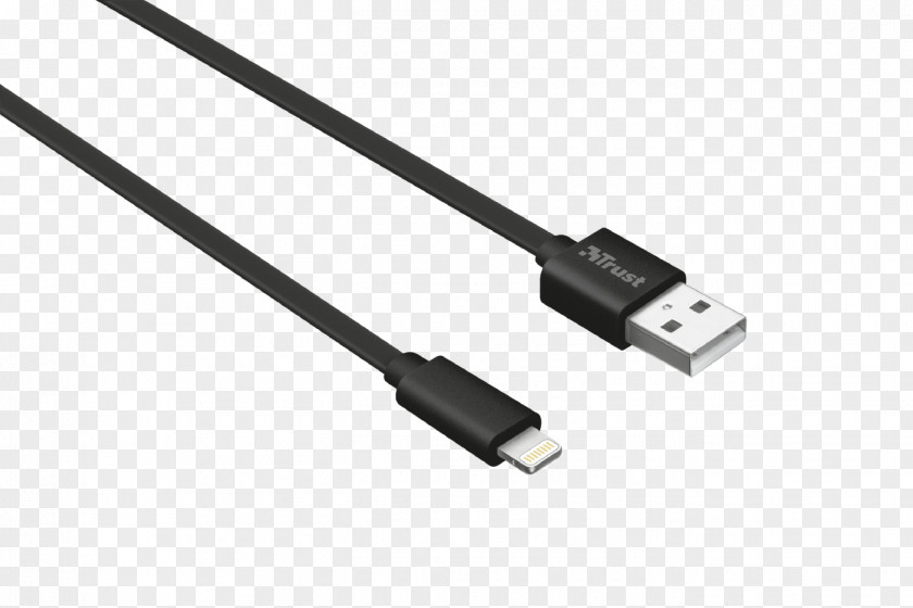 Lightning IPhone 5 IPad Mini Electrical Cable USB PNG
