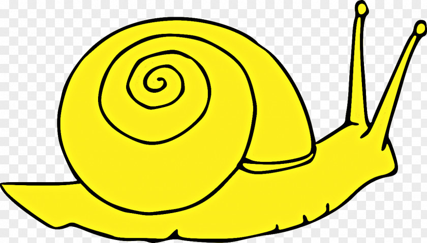 Line Art Snail Yellow Snails And Slugs Clip PNG