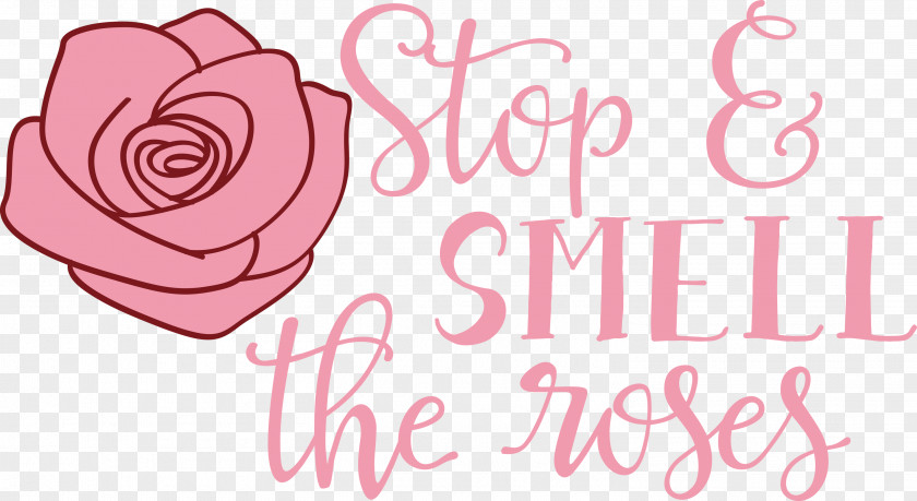 Rose Stop And Smell The Roses PNG