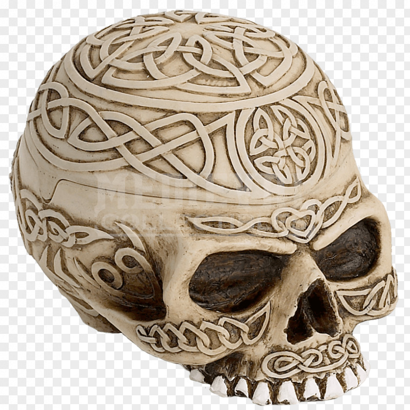 Skull Viking Human Skeleton Box Bone PNG