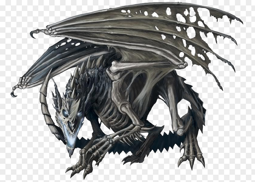 Dungeons Dragons Order Of The Griffon Dragon's Dogma Skeleton Elder Scrolls V: Skyrim Bone PNG