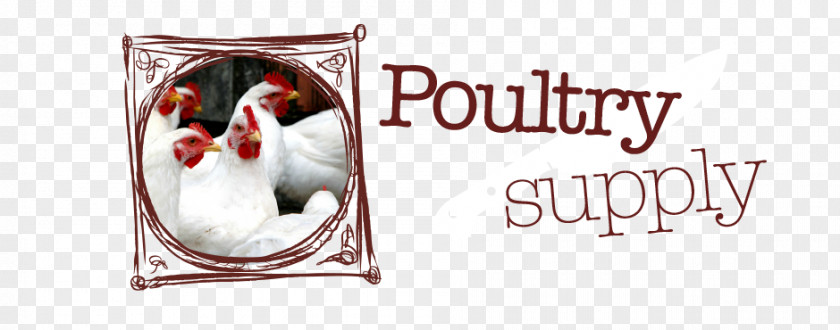 Meat Achieving Sustainable Production Of Poultry Volume 1: Safety, Quality And Sustainability PNG
