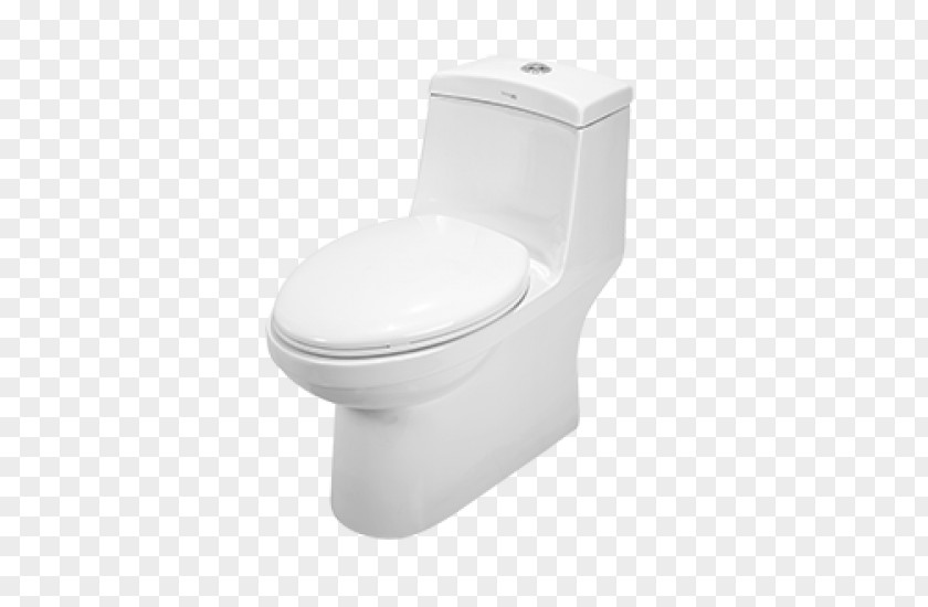 Toilet & Bidet Seats Bathroom Dual Flush PNG