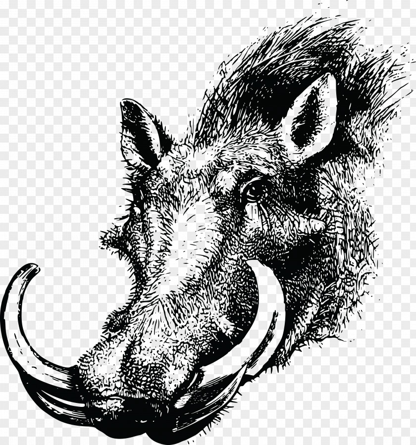 Animal Silhouettes Common Warthog Wild Boar Clip Art Openclipart PNG