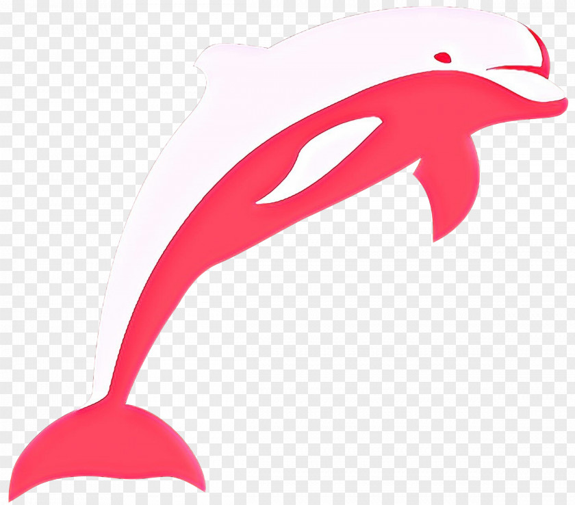 Cetacea Pink Dolphin Cartoon PNG