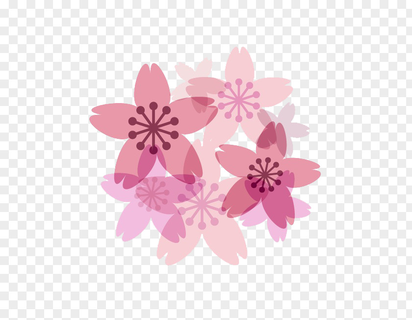Floating Cherry Decoration Blossom Petal PNG