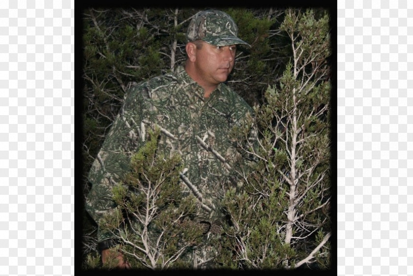 Military Camouflage Cedar Creek Camo Conifers PNG
