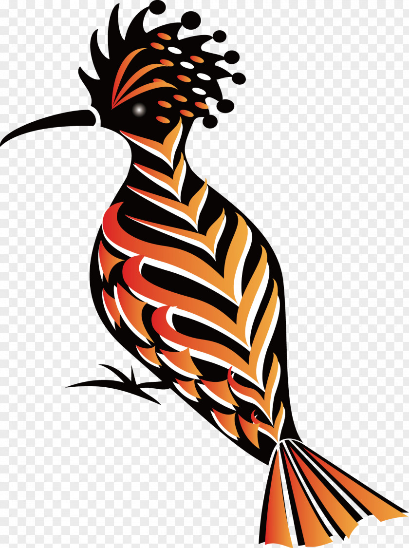 Orange Flamingo Bird Hoopoe North Island Brown Kiwi Clip Art PNG