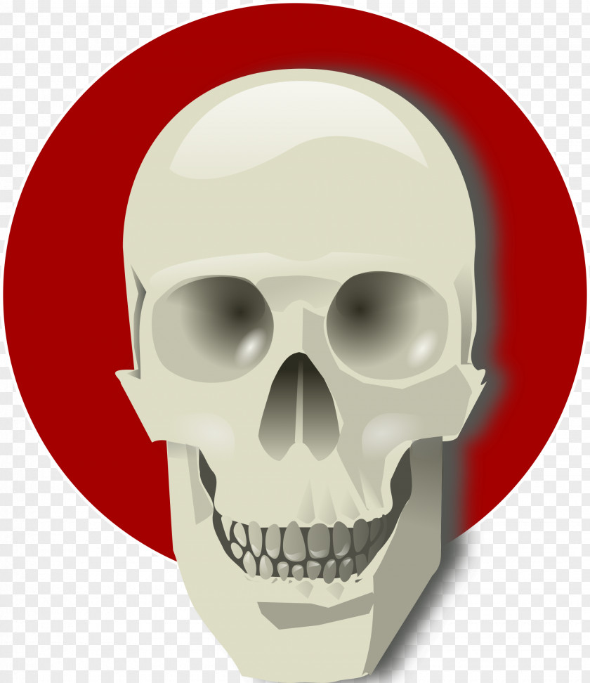 Skull Download Clip Art PNG