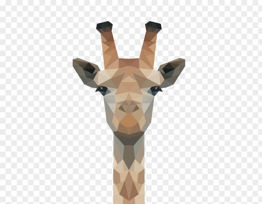 T-shirt Giraffe Gift Art Hoodie PNG