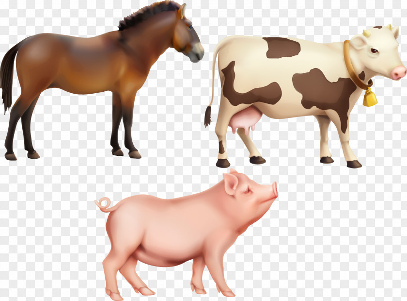 Vector Animal Livestock Cows Horse Pigs Cattle Farm Clip Art PNG