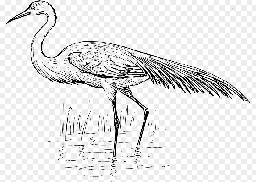 Egret Solar Term Heron Bird Crane Clip Art PNG