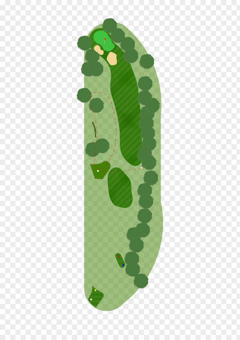 Golf Course Leaf PNG