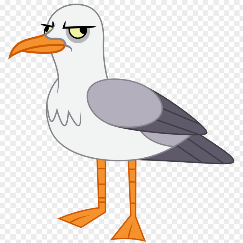 Gullible Background Gulls Clip Art Transparency Image PNG