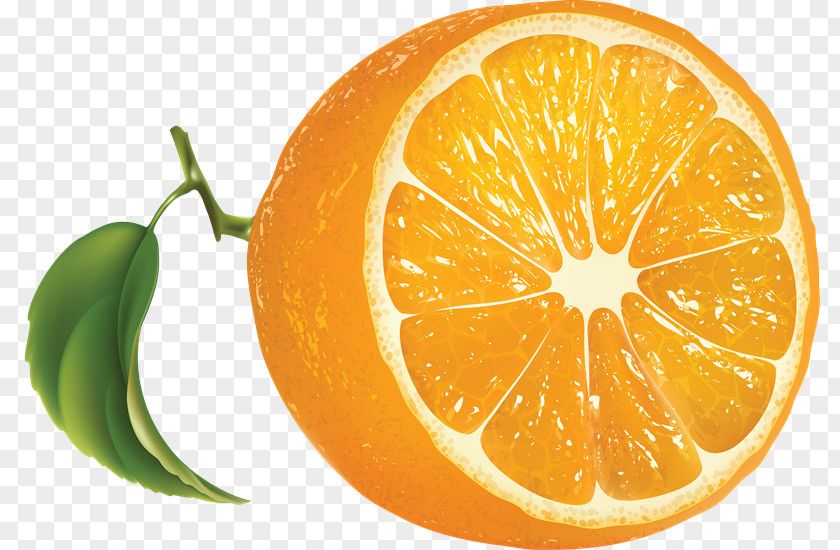 Juice Orange Clip Art PNG