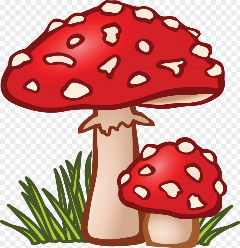 Mushrooms Mushroom Fungus Amanita Muscaria Clip Art PNG
