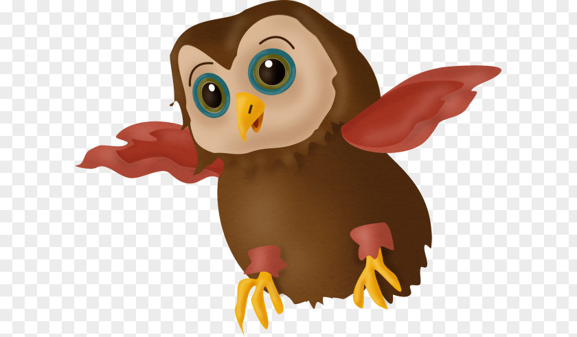 Owl Bird Clip Art PNG