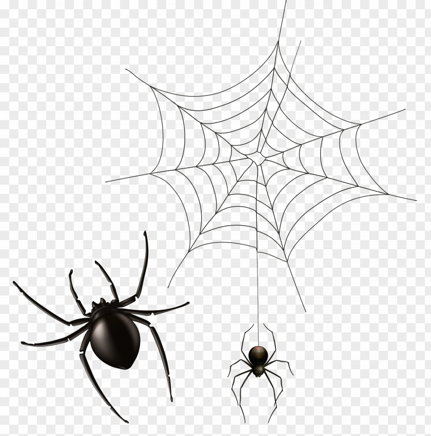 Spider And Cobweb Clipart Image Web Icon Wiki Computer File PNG