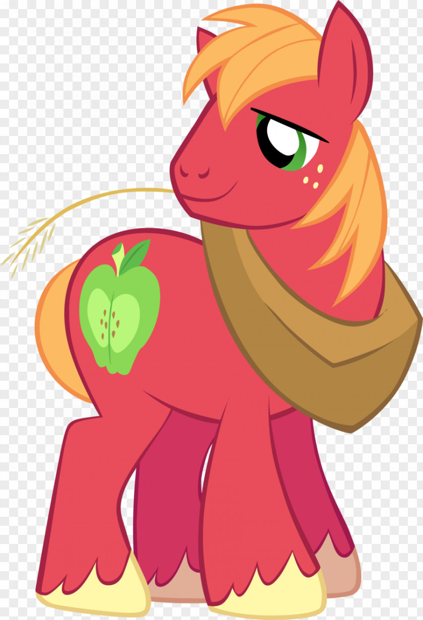 My Little Pony Big McIntosh Applejack Twilight Sparkle Pinkie Pie Derpy Hooves PNG