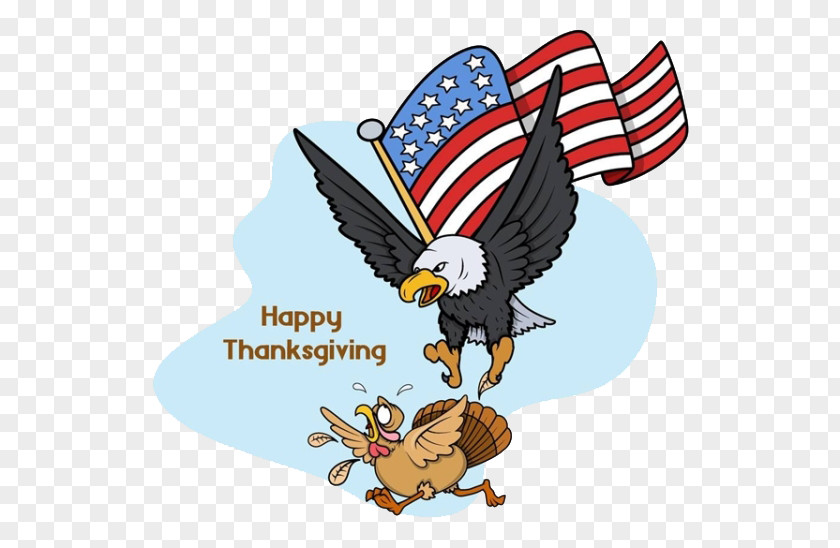 Thanksgiving Eagle Turkey Bald Bird PNG