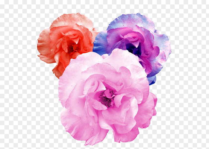 The Physical Fabric Of Artificial Flowers Garden Roses Flower PNG