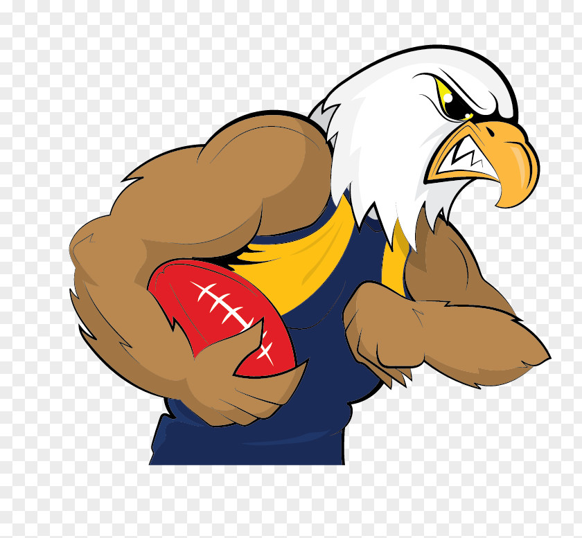 West Coast Eagles Australian Football League Pre-season Competition 2017 AFL Season Sydney Swans Clip Art PNG