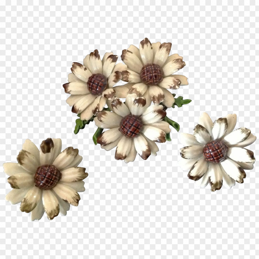 Chrysanthemum Transvaal Daisy Cut Flowers Jewellery Petal PNG