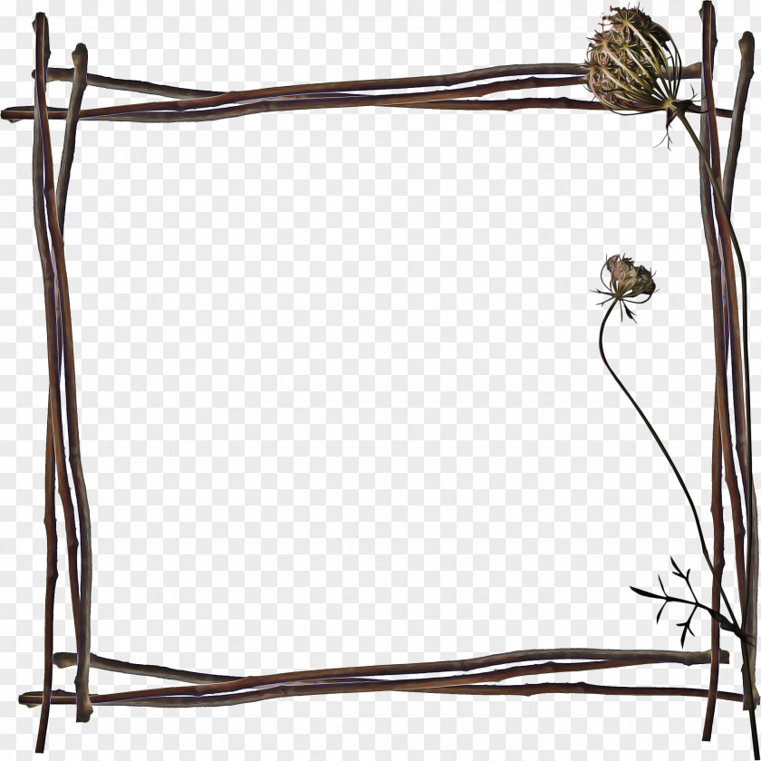 Flower Plant Twig Background PNG