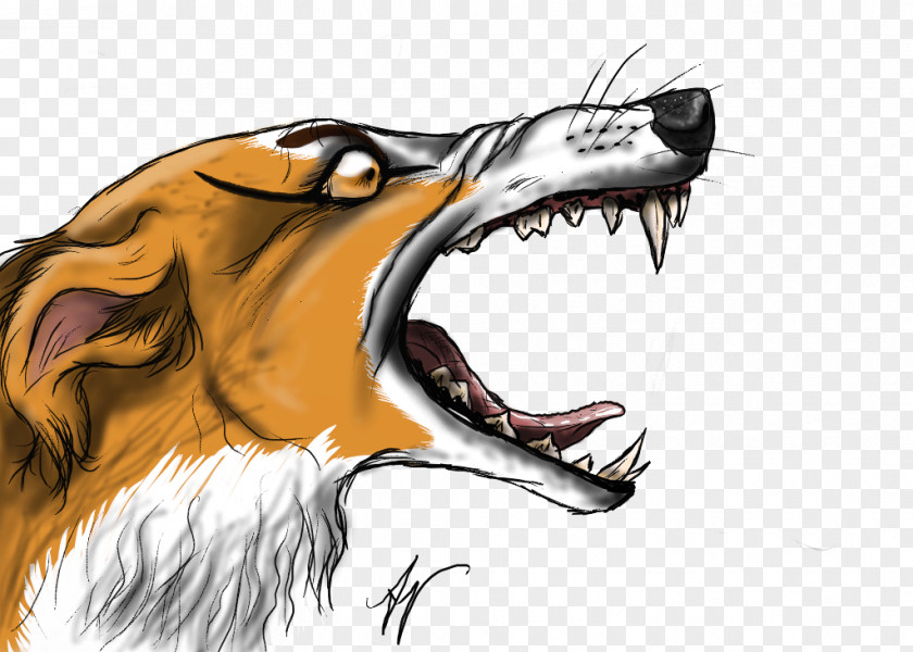Lion Mouth Dog Snout Canidae PNG