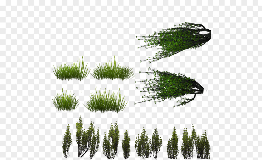 Lumpur Vector Sprite Lawn Texture Mapping PlayStation 3 Minecraft PNG