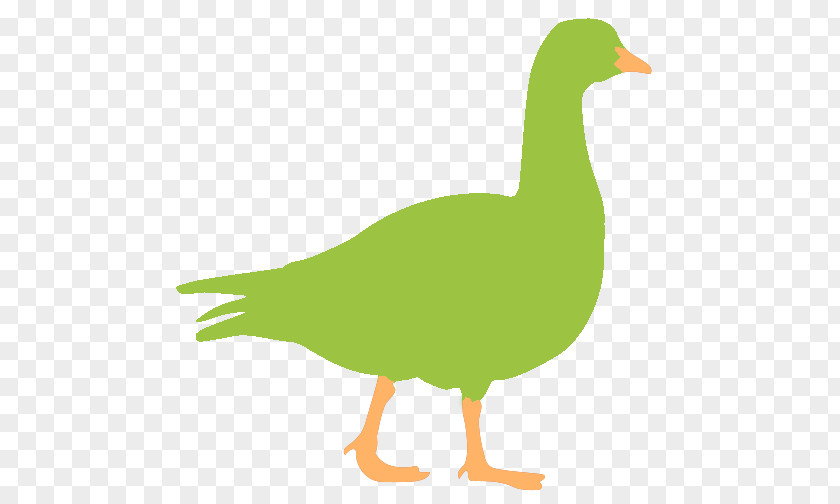 Mr Goose Mallard Duck Google Images PNG
