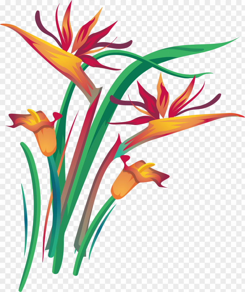 Orange Red Calla Lily Arum-lily Floral Design Clip Art PNG