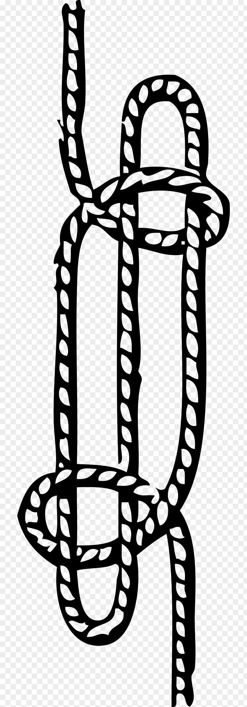 Rope Knot Bowline On A Bight PNG