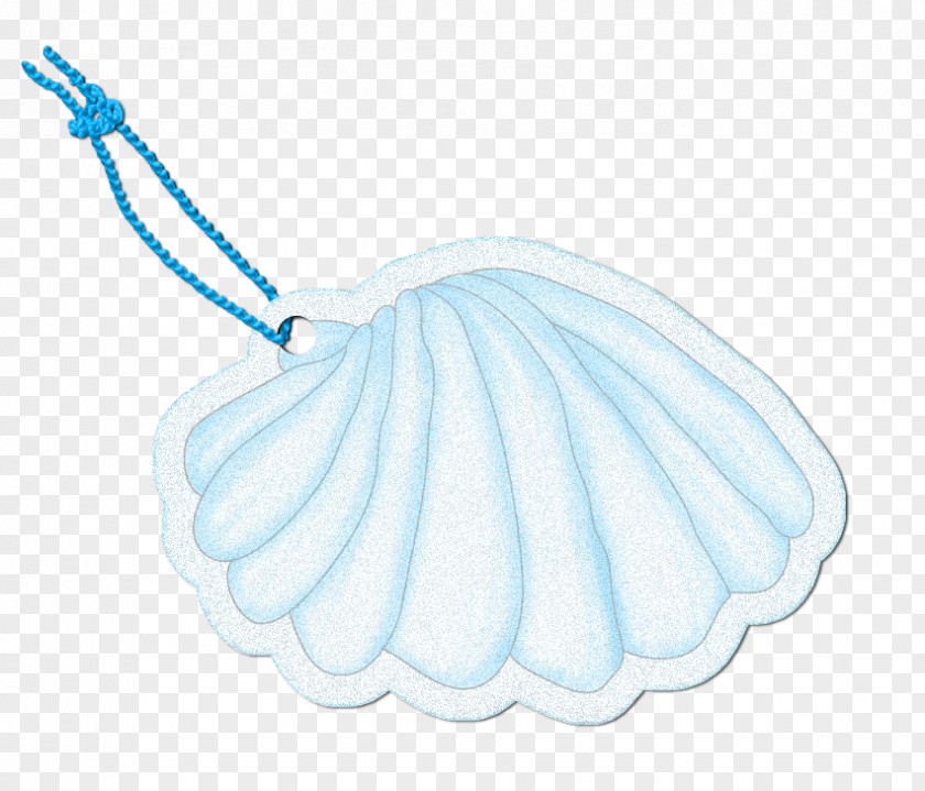Scallop Jewelry Great Seashell PNG