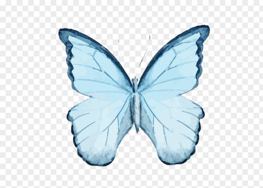Blue Butterfly Free To Pull The Material Watercolor Painting Drawing Illustration PNG
