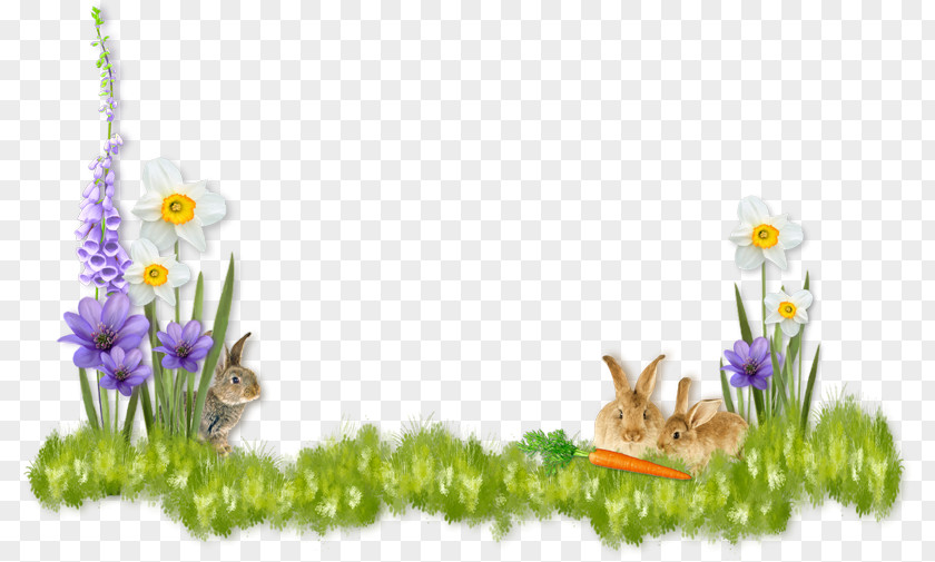 Easter Border Bunny We Love Basket Egg PNG