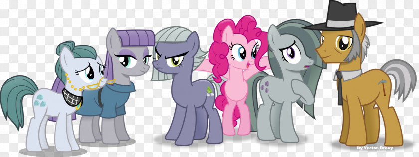 Family Pony Pinkie Pie Twilight Sparkle Rainbow Dash Princess Luna PNG
