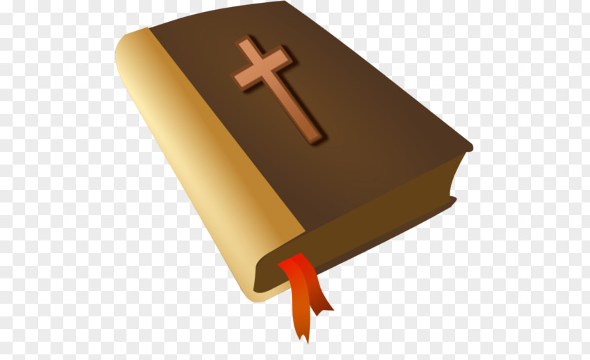 Holy Bible The Bible: Old And New Testaments: King James Version Life Amplified PNG