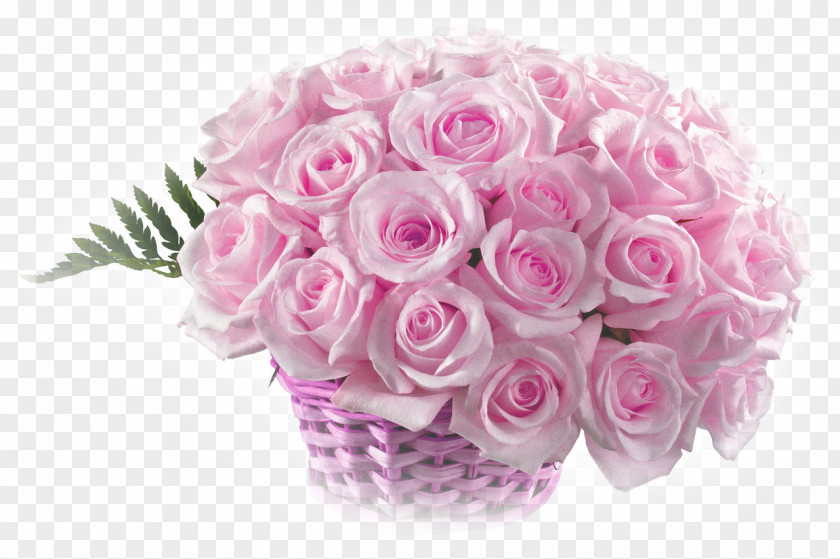 Kwiaty Rose Wish Desktop Wallpaper Love PNG