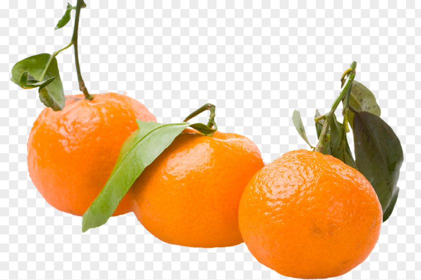 Orange Clementine Mandarin Tangerine Tangelo Rangpur PNG