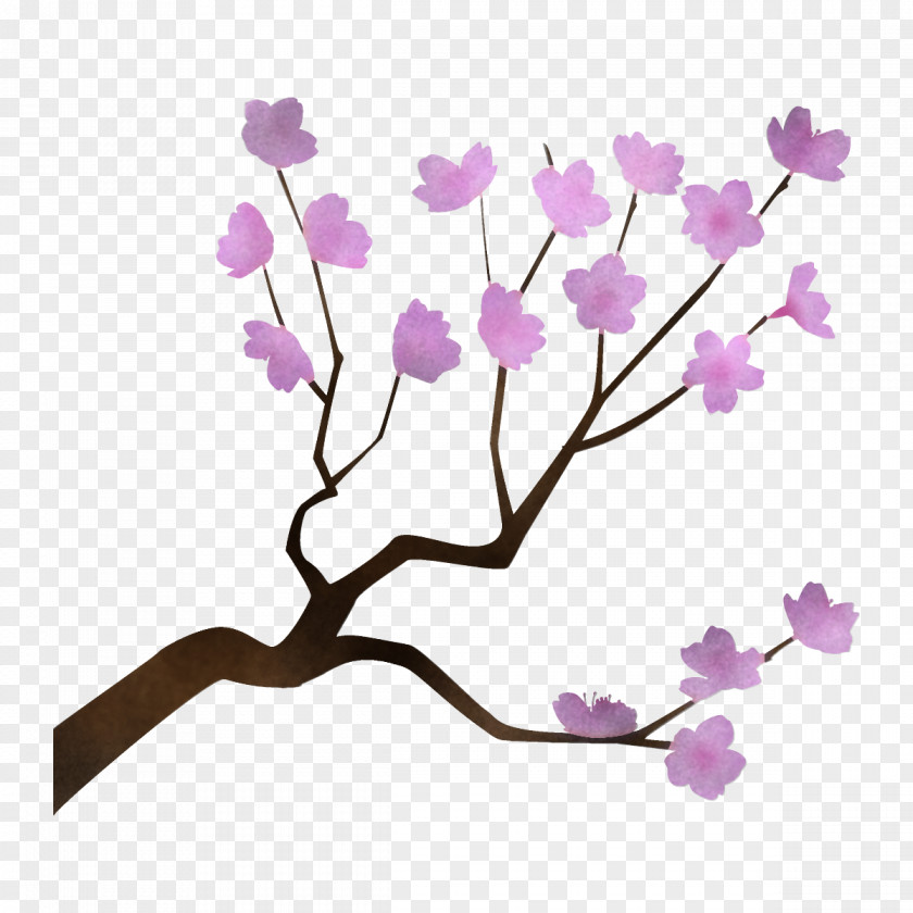 Twig Blossom Branch Flower Plant Purple Violet PNG
