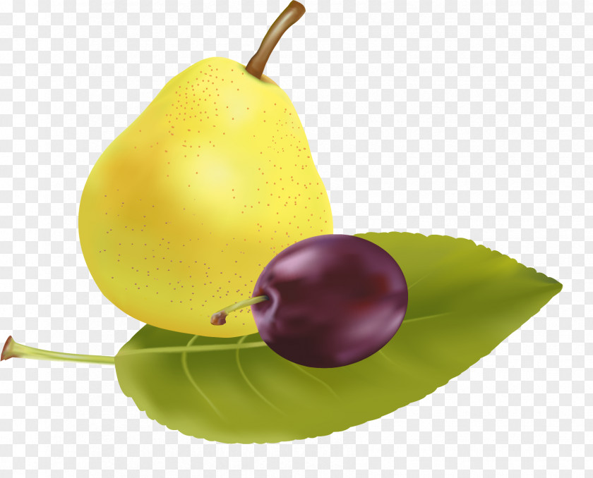Laiyang Pear Elements Gratis Fruit PNG