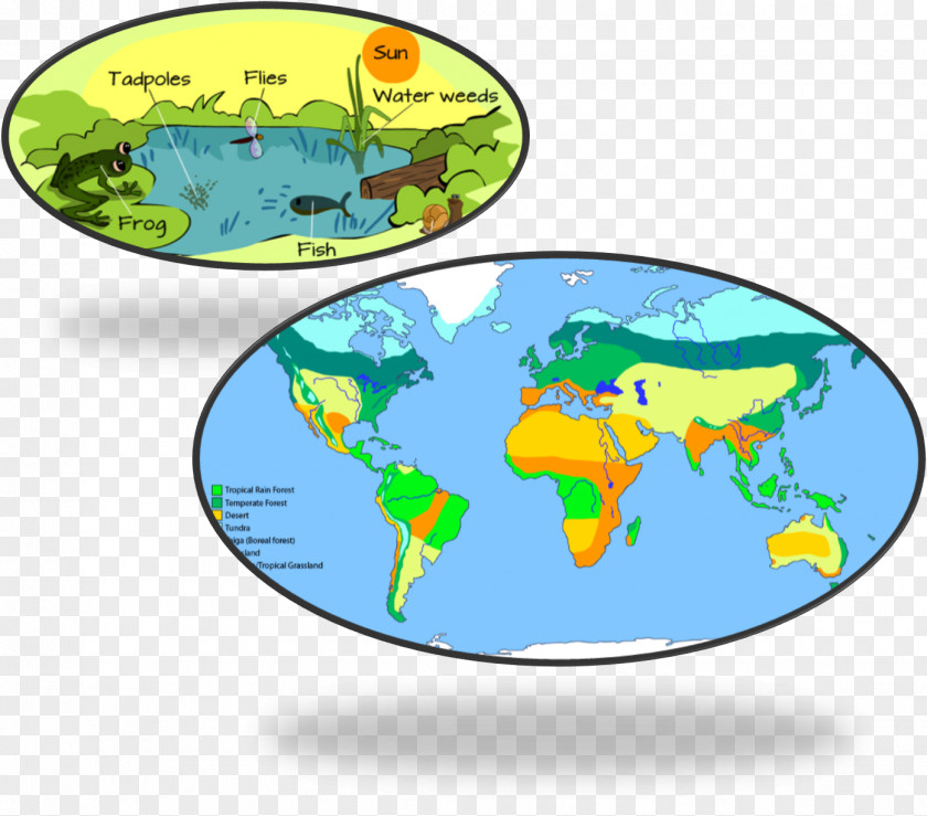 Living World Map Biome Science Climate PNG